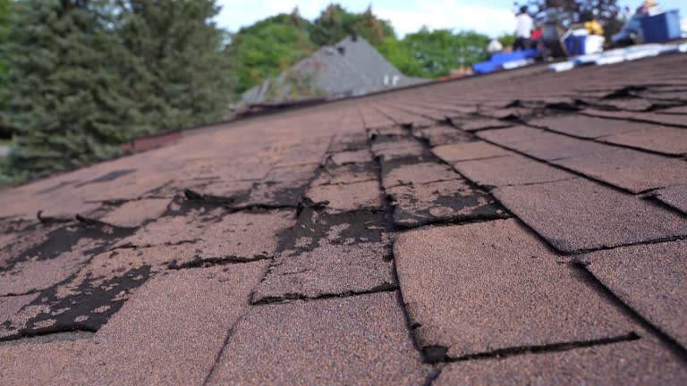 Best Tile Roofing Installation  in Roseland, OH