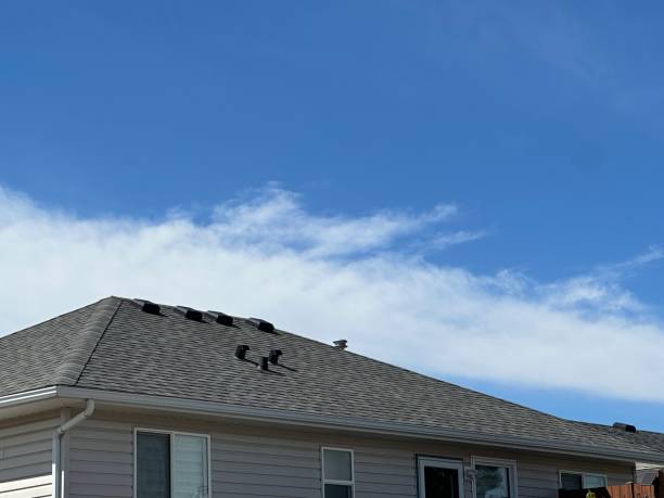 Best Rubber Roofing (EPDM, TPO)  in Roseland, OH