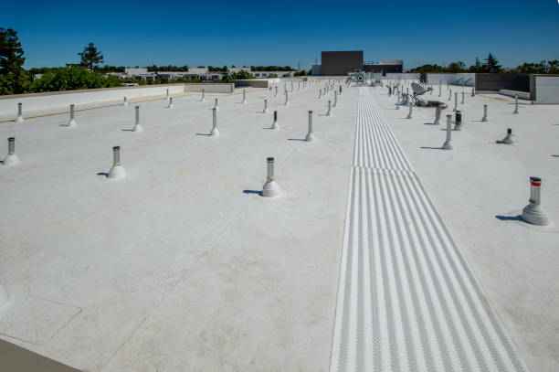 Best Metal Roofing Installation  in Roseland, OH